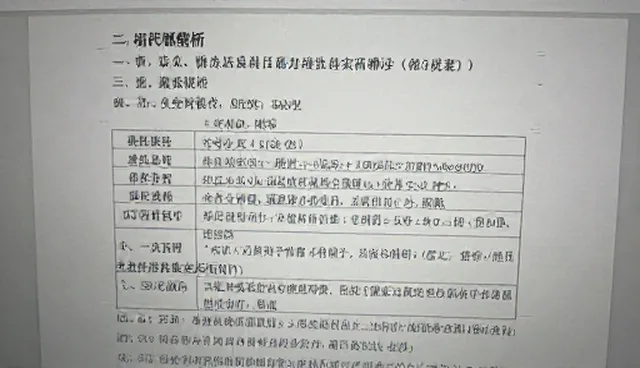 项目咨询:常见问题与处理方法分析